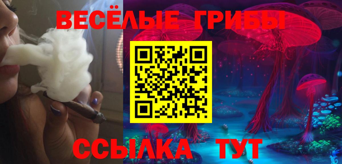 Шали  Галлюциногенные грибы GOLDEN TEACHER  Вход с VPN 